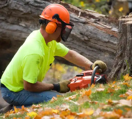 tree services Hartsdale